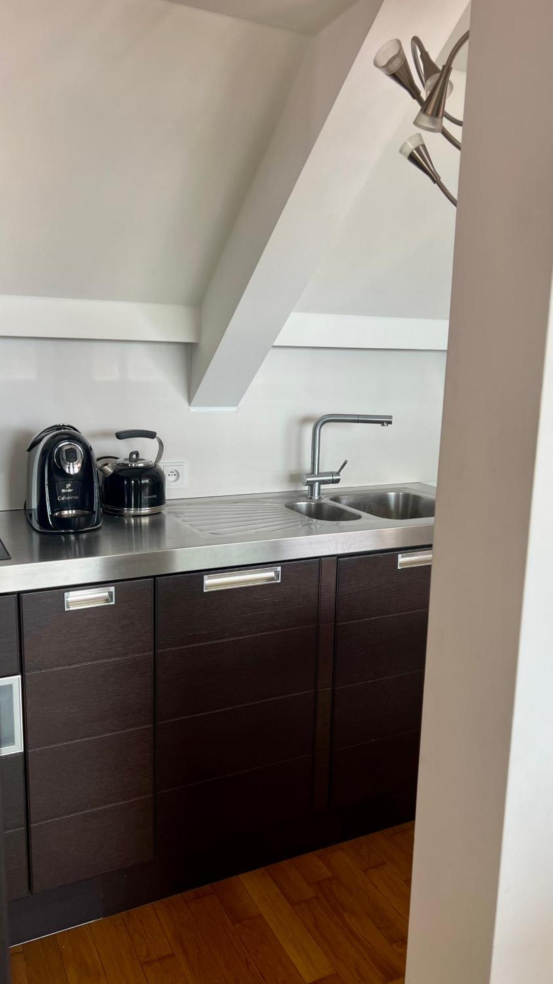Apartman Se Saunou A Terasou S Vyhledem Na Brno Exteriér fotografie