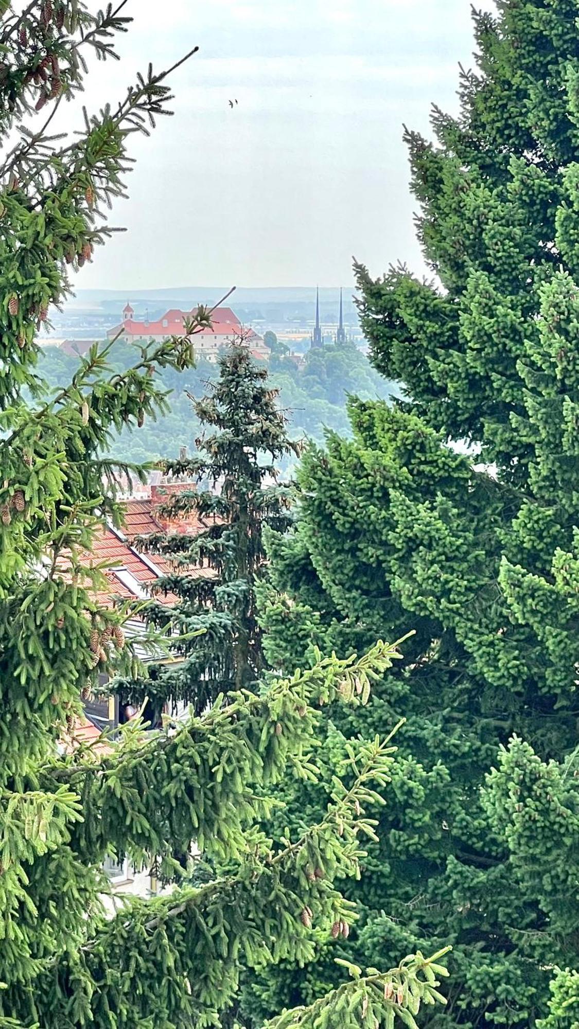 Apartman Se Saunou A Terasou S Vyhledem Na Brno Exteriér fotografie