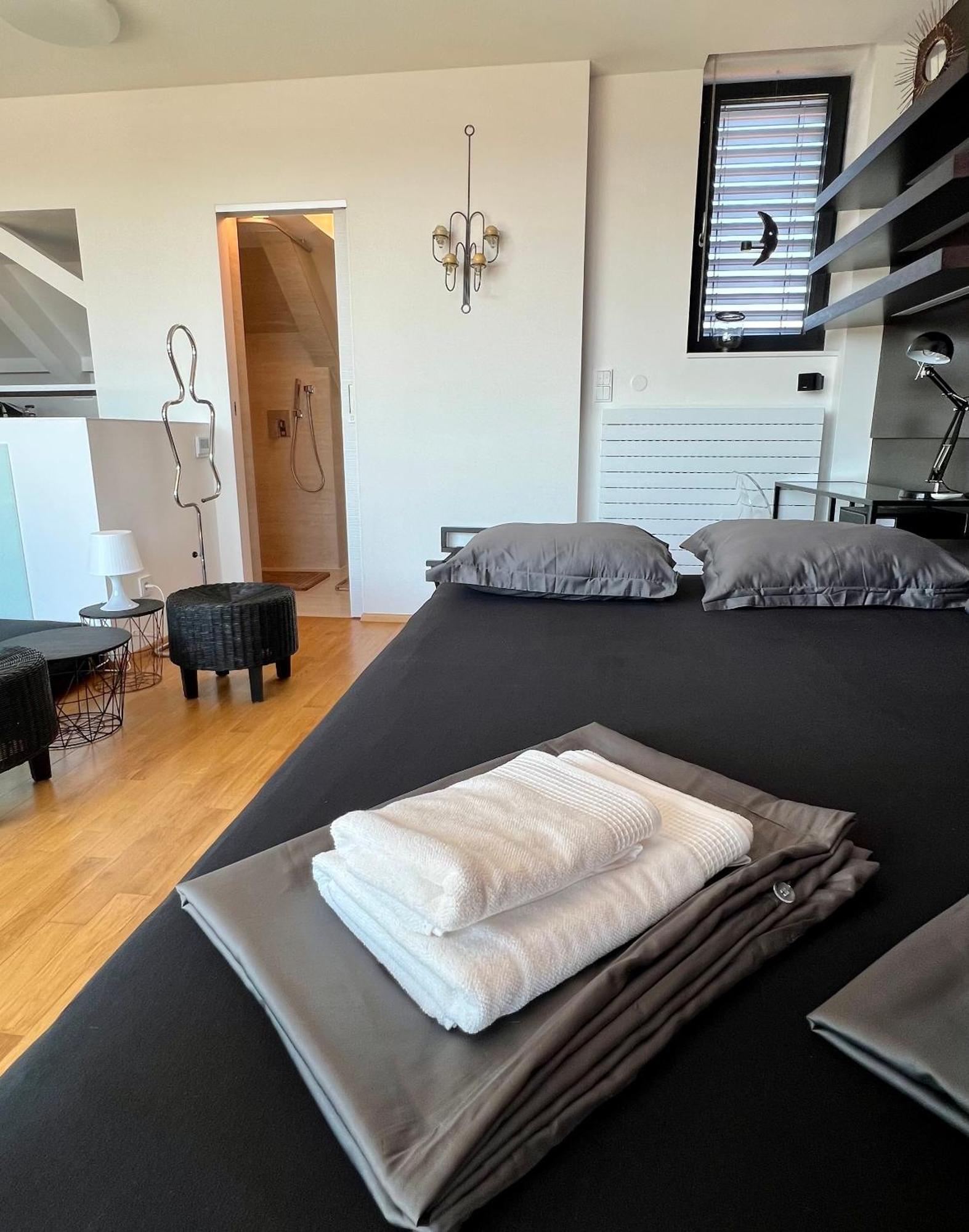 Apartman Se Saunou A Terasou S Vyhledem Na Brno Exteriér fotografie